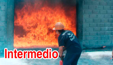 Curso Intermedio de Protección Civil México DF